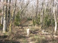 PICT0047